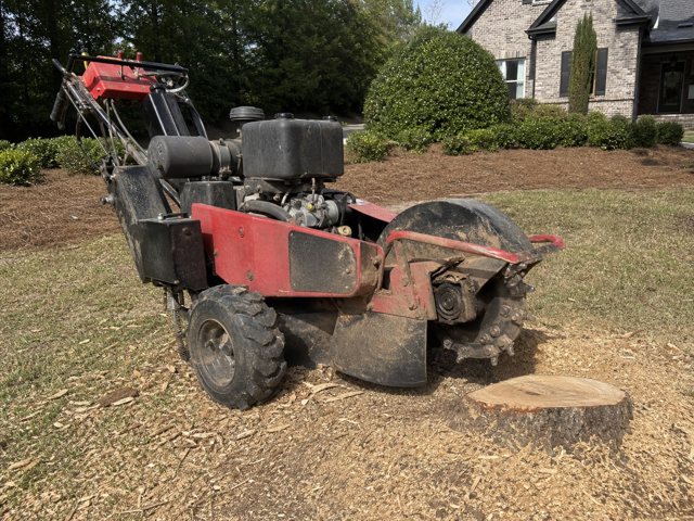 Walk-Behind Stump Grinder